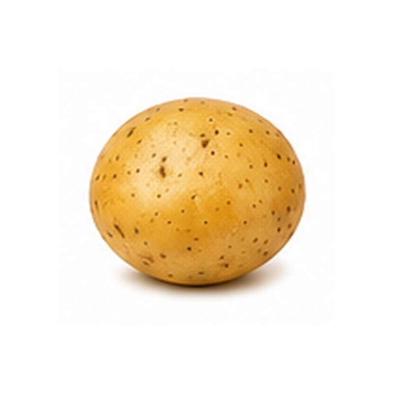 بطاطس